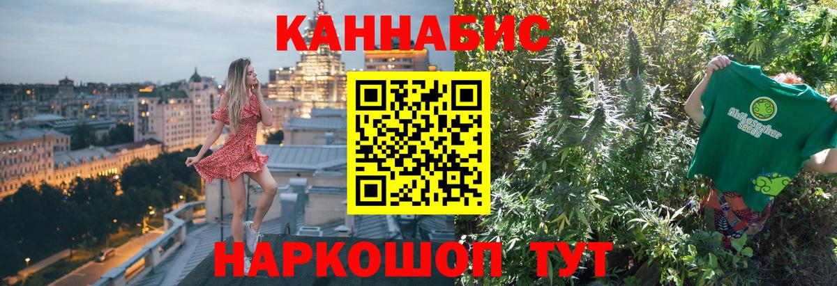 Бошки Шишки семена Братск
